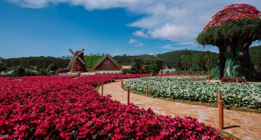 Dalat Flower Gardens